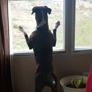 Meet your Posher, Yvonne